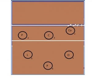 Sistema voleibol 5-1